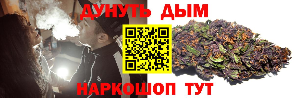 Каннабис индика Зима